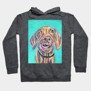 Colourful Vizsla puppy Hoodie